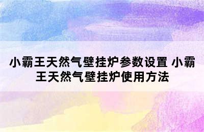 小霸王天然气壁挂炉参数设置 小霸王天然气壁挂炉使用方法